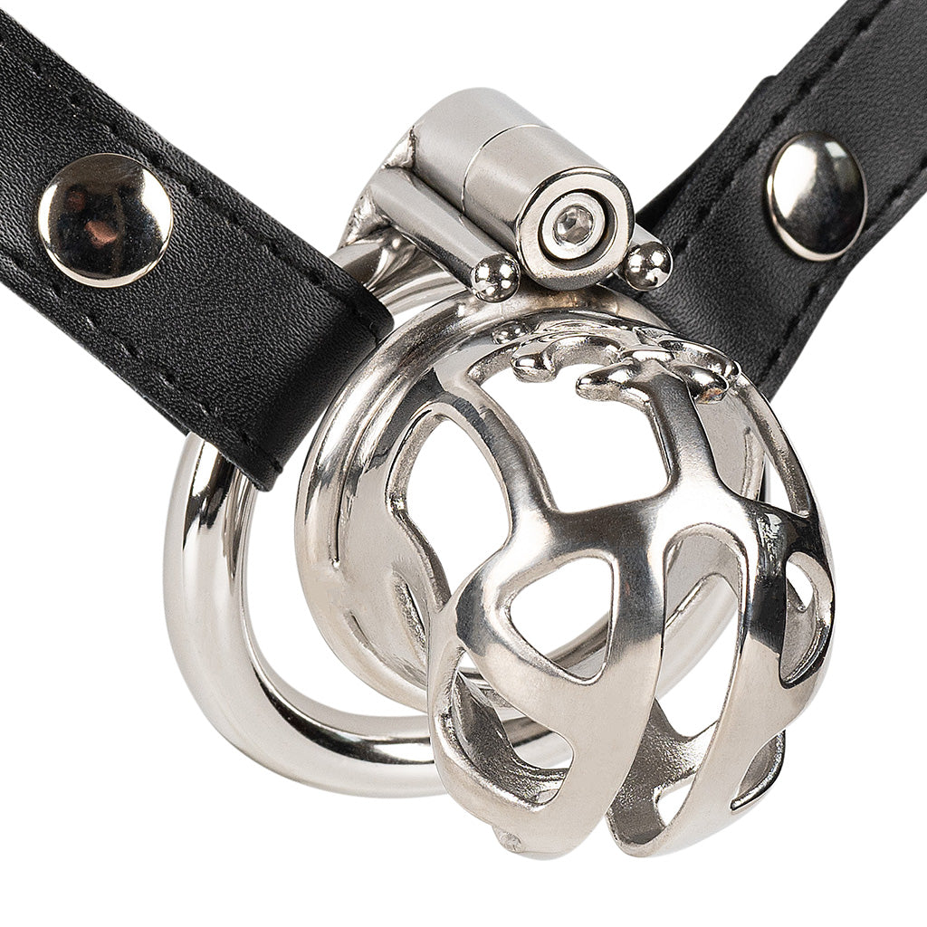 JTS S224 stainless steel small size cage with circular ring and adjustable waist strap.