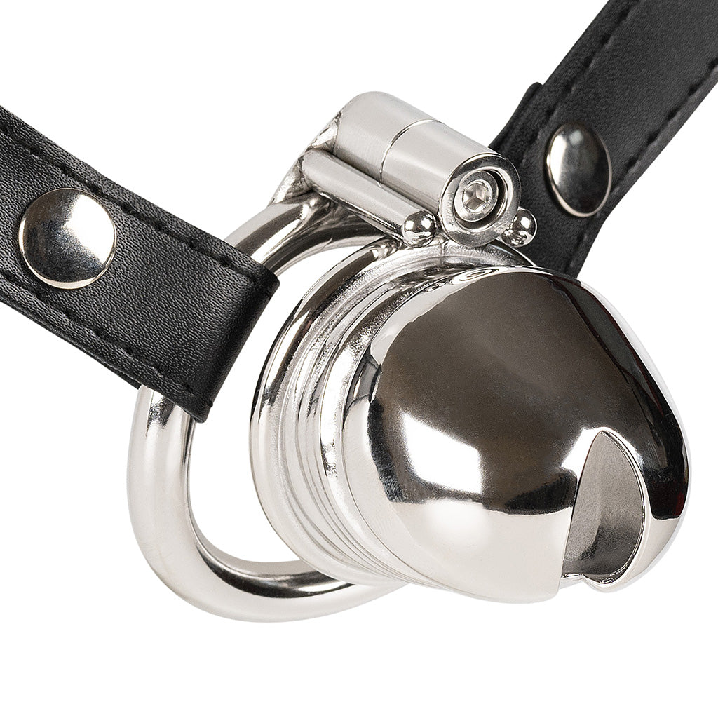 JTS S225 stainless steel cock cage with circular back ring, hex screw lock and adjustable waist strap.