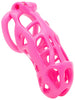 Pink Hera chastity kit in XXL size with a barrel lock system.